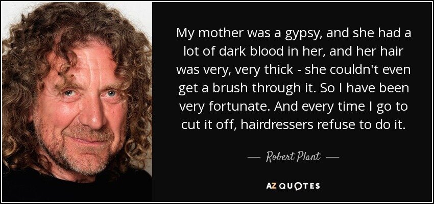 "The Survivors: Robert Plant". Interview with Chris Heath. November 7, 2011.                    https://www.azquotes.com/quote/1162393