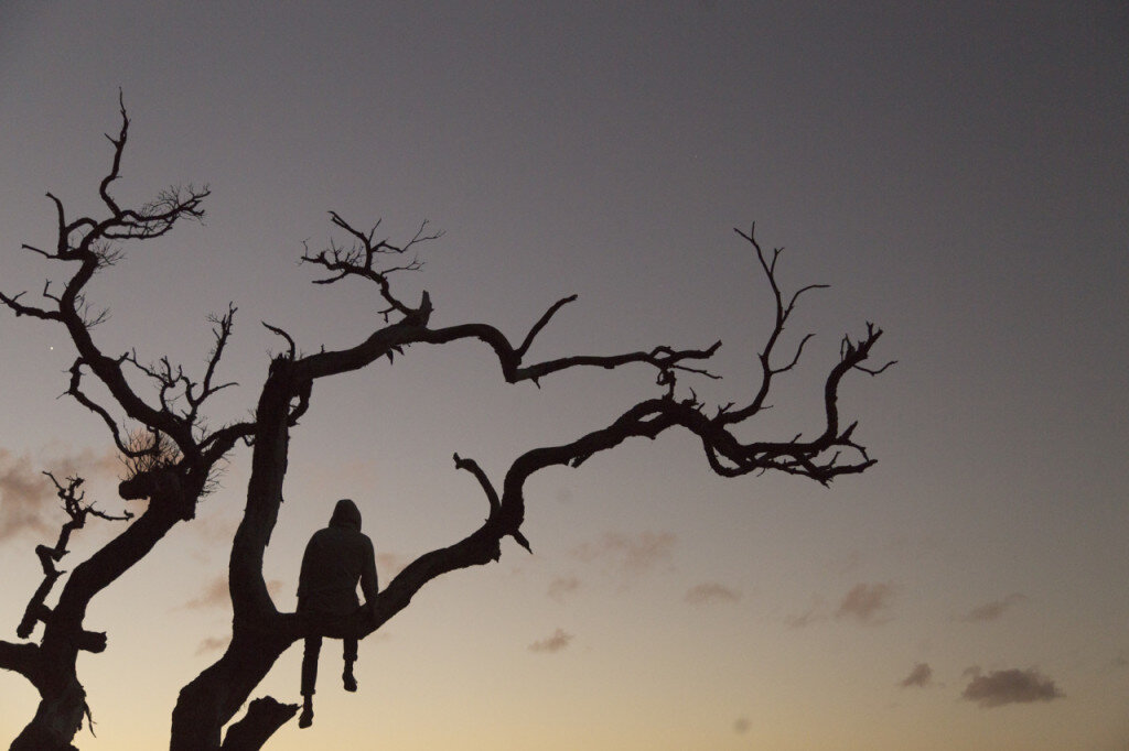 фото Бен Занк