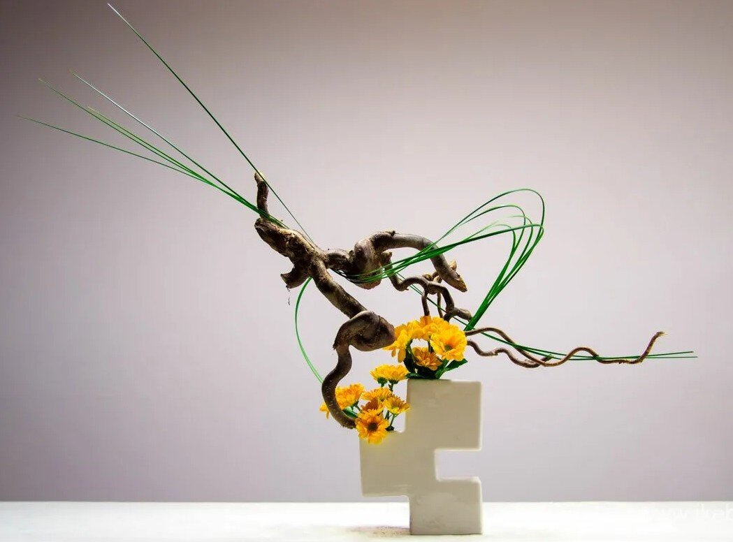 школа Согэцу