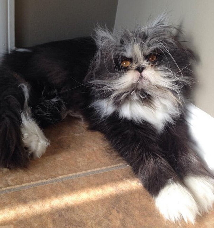 - Сами вы страшные, а я необычный