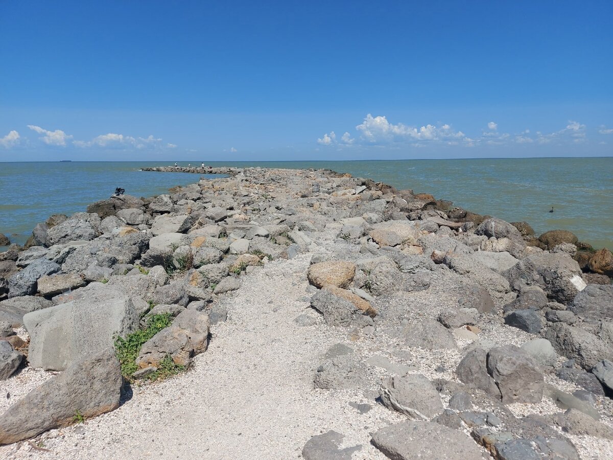 Наталья Новосельцева / Из архива