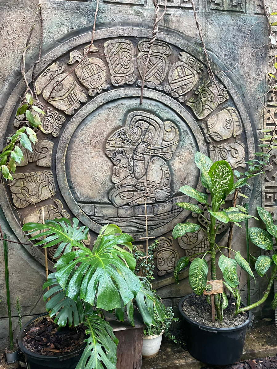 Какой-то мужик