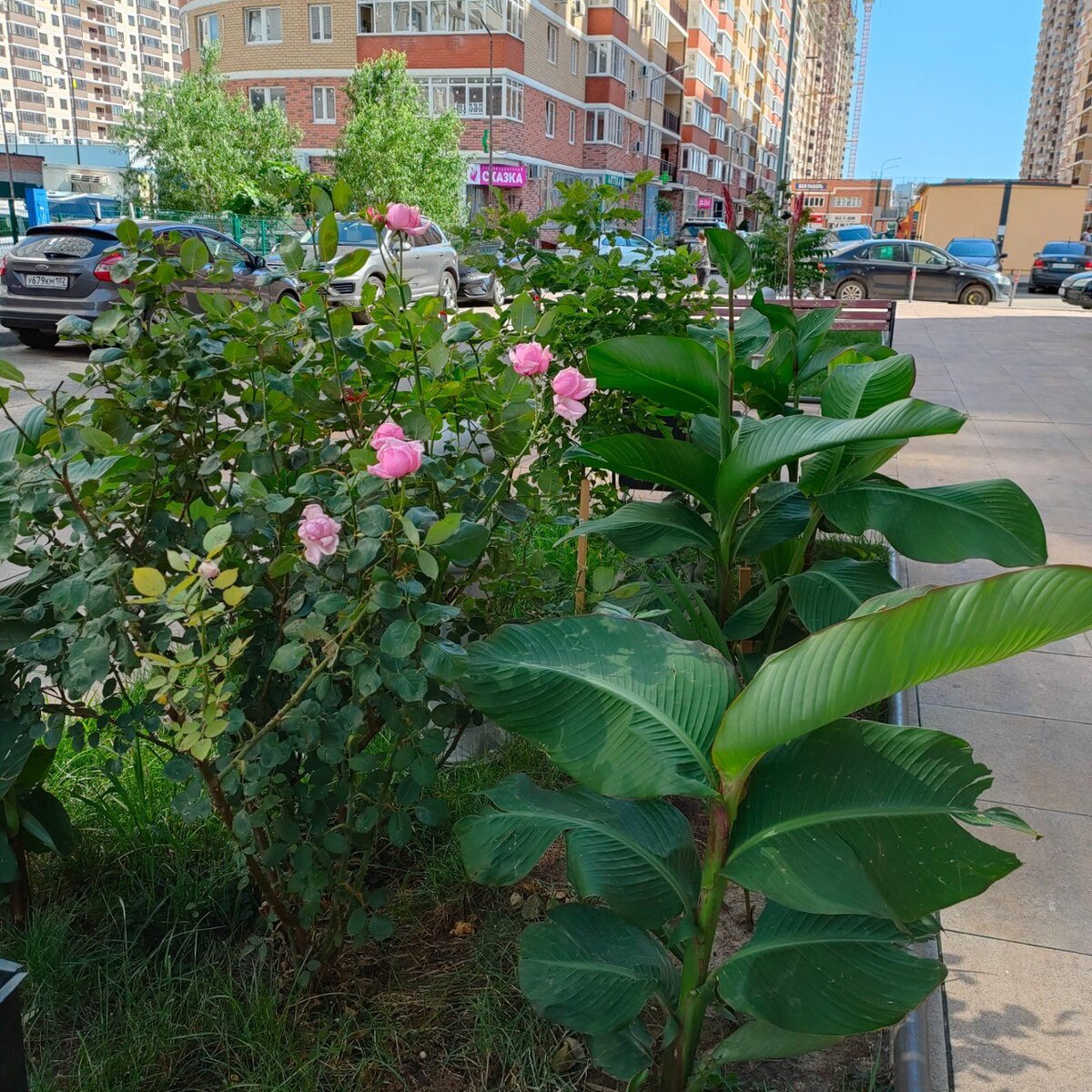 Фото респондента