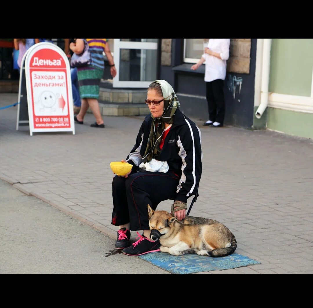 Яндекс. Поиск. 