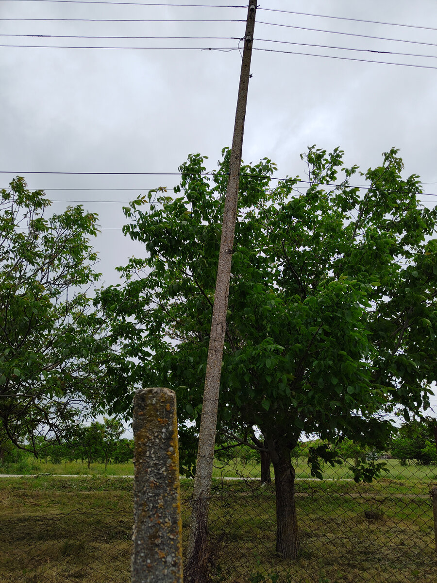 Вот он старичок, хорошо видно как сильно он накренился.
