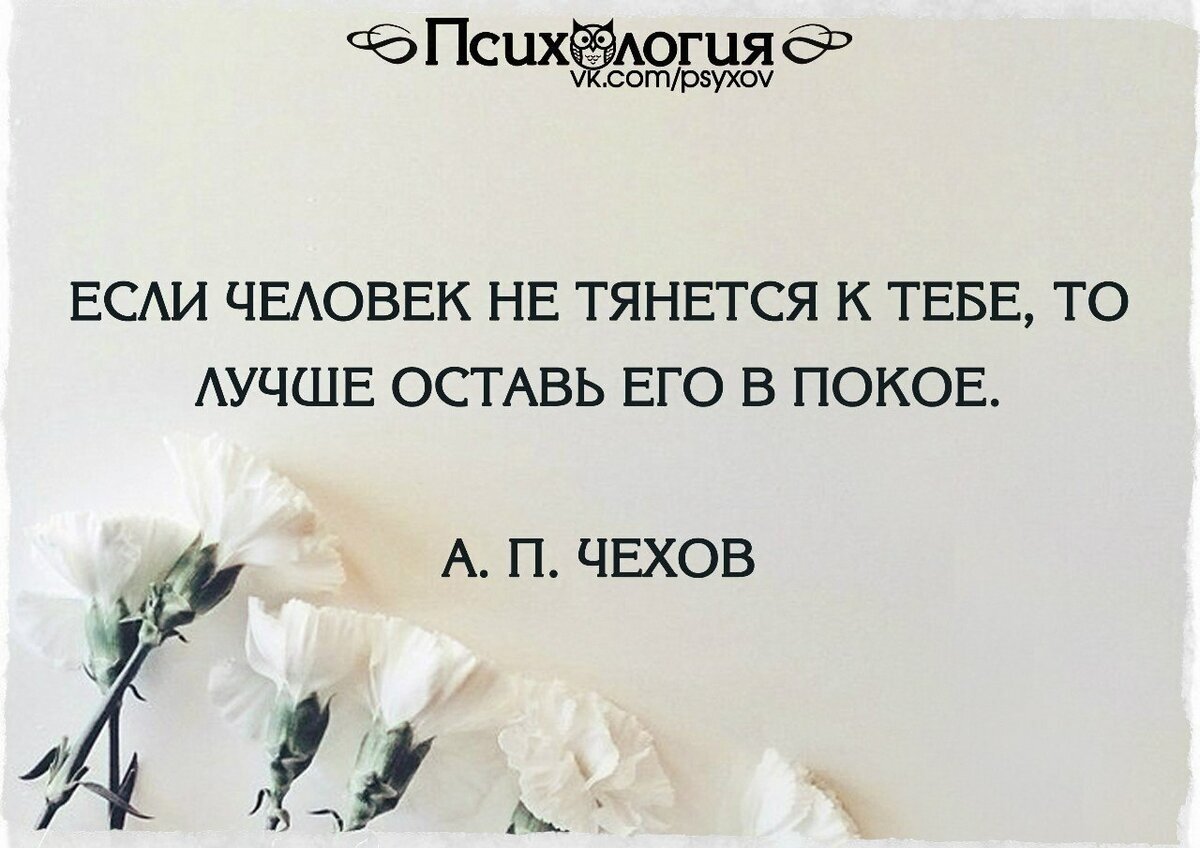 По поводу продвижения сайта по результатам звоните: +7(977)172-99-98 Максим