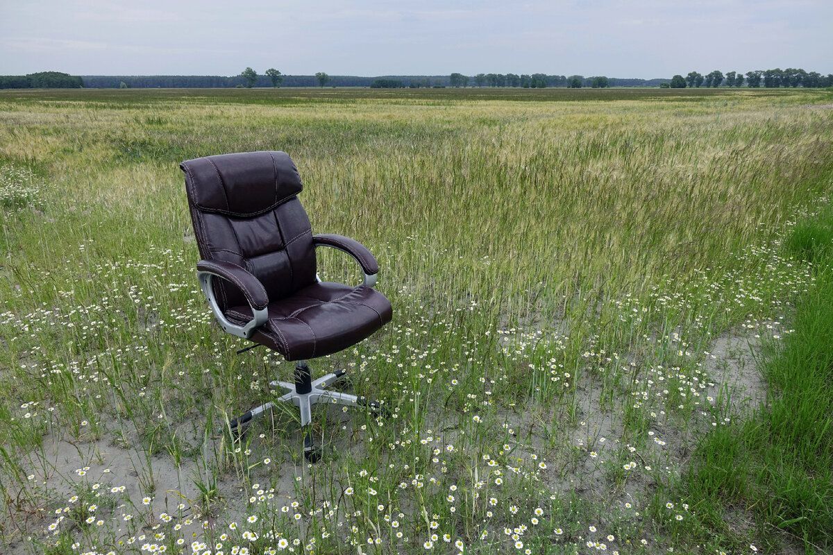 Фотография ТАСС