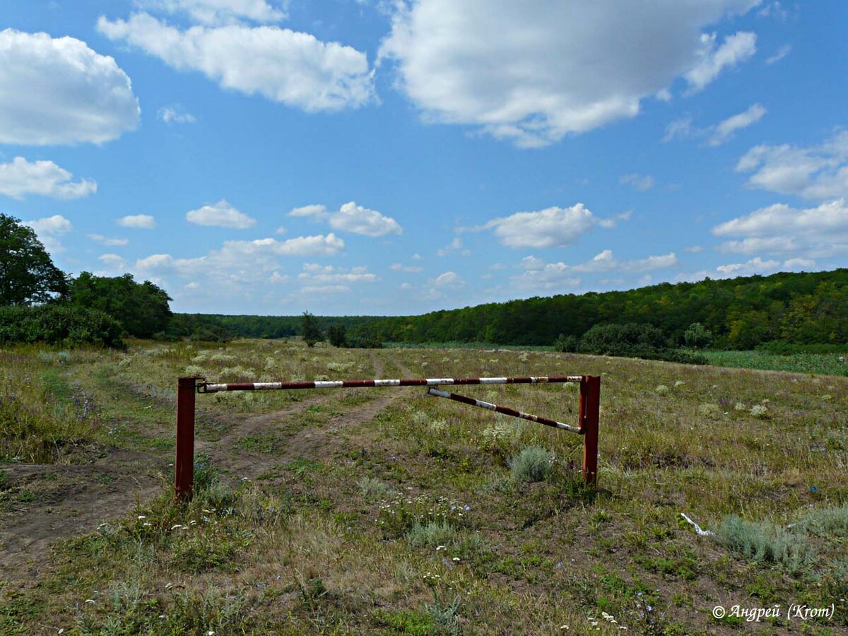 Дверь в поле. Дверь в небо. Дверь в чистом поле. Забор посреди поля. Дверь в природу.