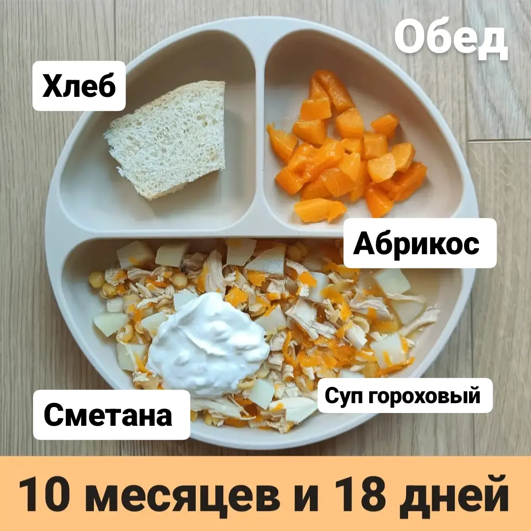 Пример тарелки в 10 месяцев 