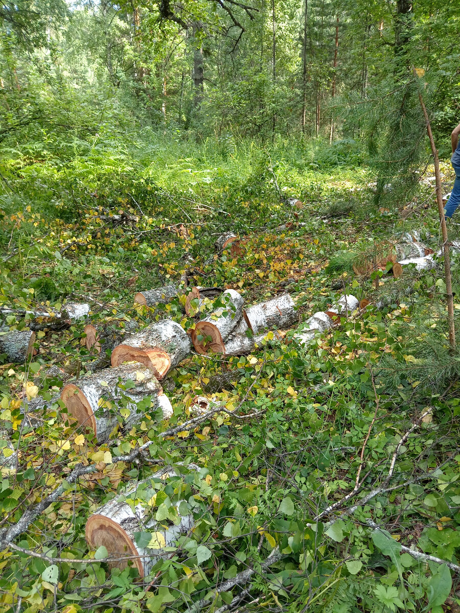 Мы где-то тут