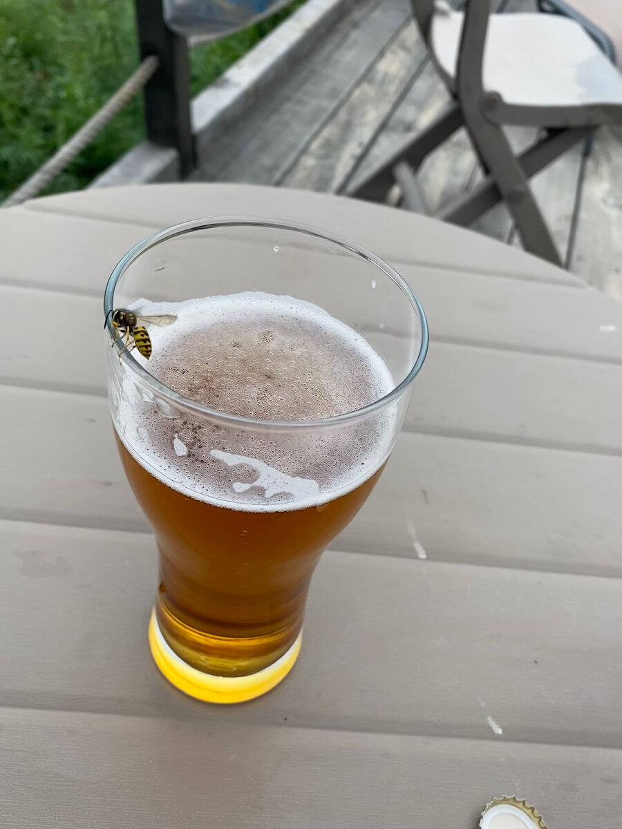 А осы выпить всё твое пиво, пока ты в джакузях свои чресла греешь. Фото автора