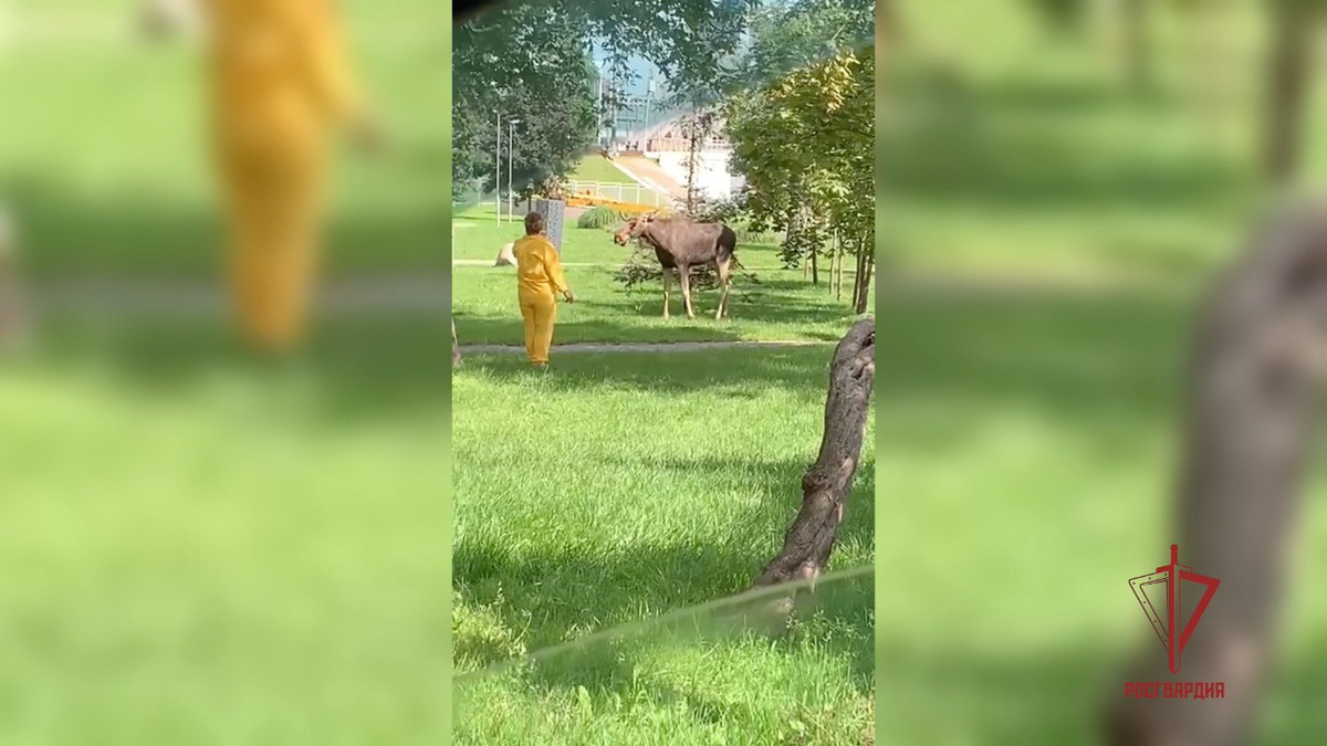    Фото: Пресс-служба ГУ Росгвардии по городу Москве