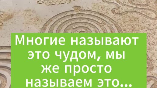 Дмитрий Смирнов. Основатель НПО «Движение - Жизнь» | Многие называют ...
