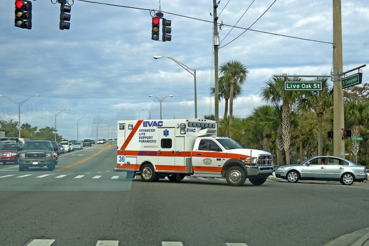    В США два человека погибли от поедающей мозг амебы