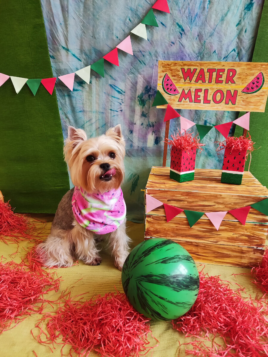 Эдди и самодельный арбуз (шарик+маркер) 