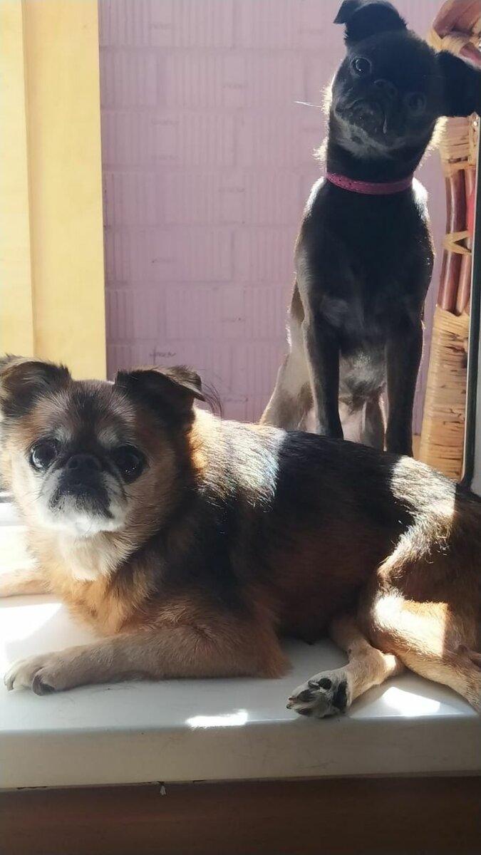 Ваня и Ника.