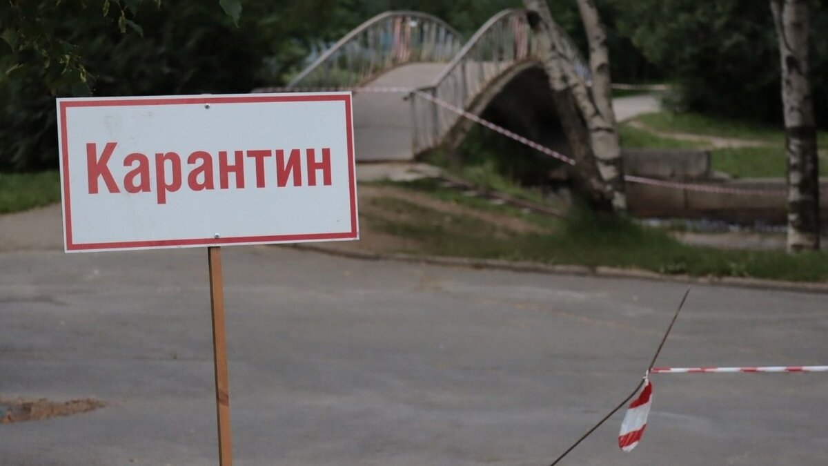     В карельской столице обнаружили очаг высокопатогенного гриппа птиц. Ситуацию прокомментировал глава республики Артур Парфенчиков.