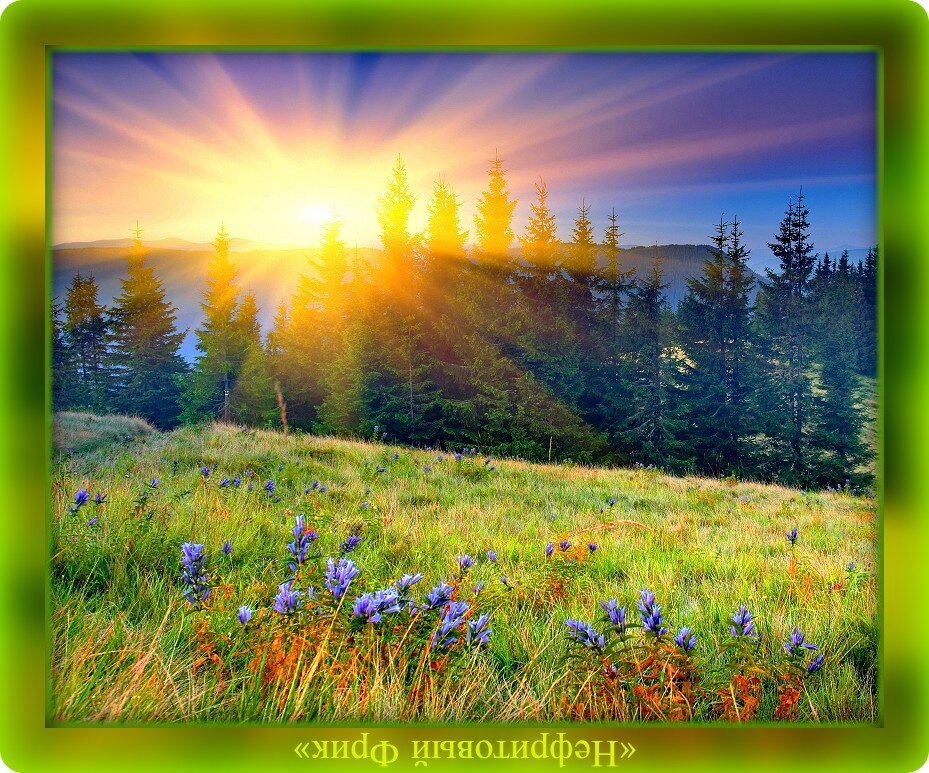 День - это крохотная жизнь! Восход - начало этой жизни, но зато Закат прекрасен!