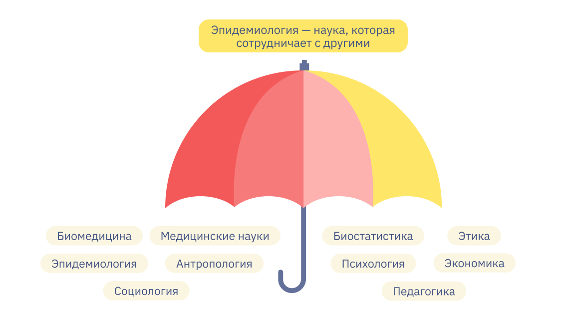 Эпидемиология — наука о распространении заболеваний, входит в так называемый зонтик наук о здоровье. Под ним находятся также социология, экономика, статистика и другие науки, которые помогают сделать жизнь человека лучше. Источник: https://clck.ru/34mqWW 