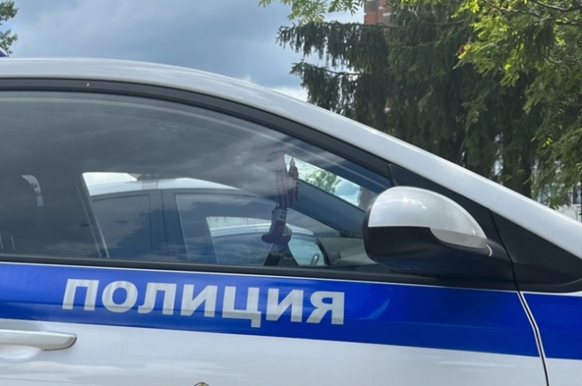    Экипажу ДПС в Башкирии пришлось применить силу при задержании мопедиста