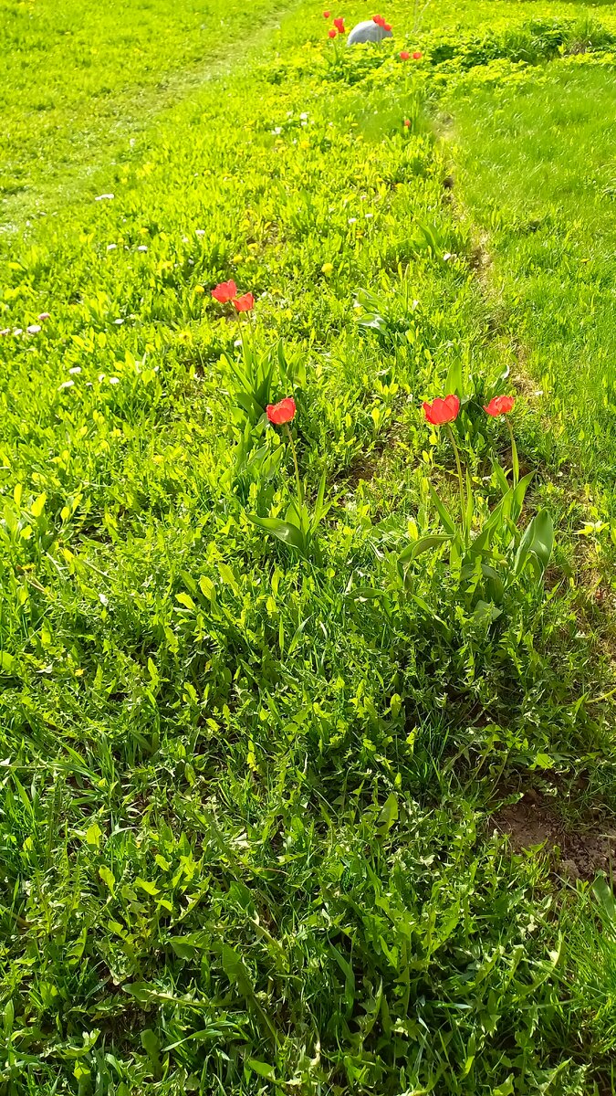 Вот это самое место.