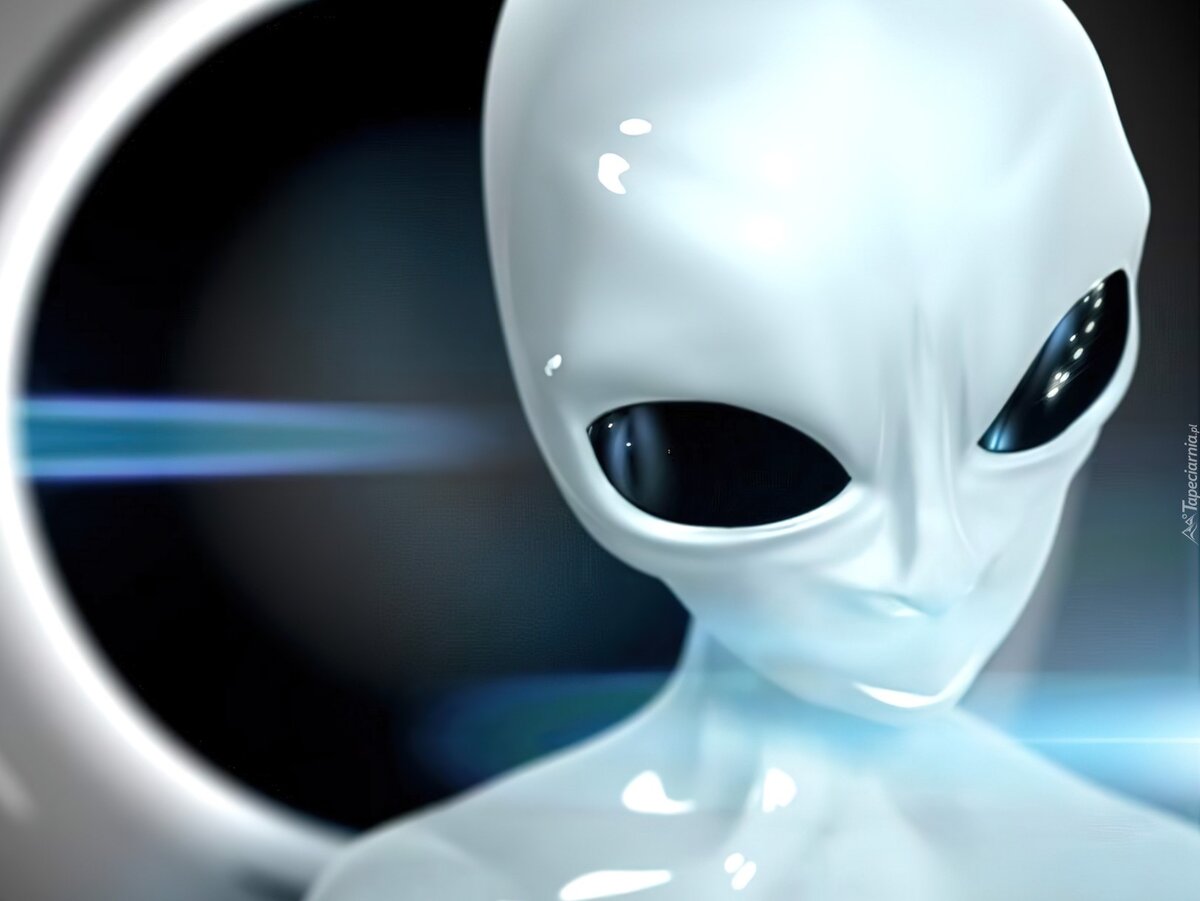 Фото из Яндекс.Картинки для иллюстрации материала