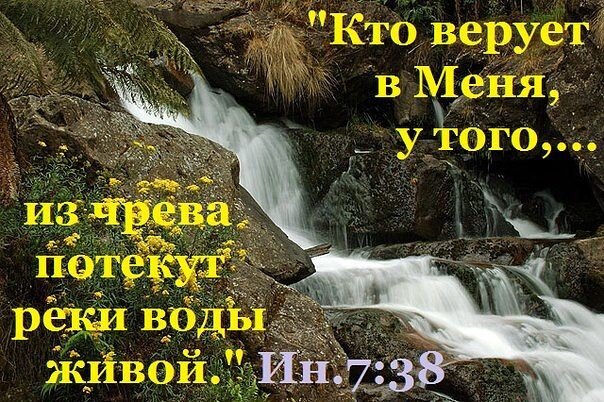 Источник: Яндекс. Картинки