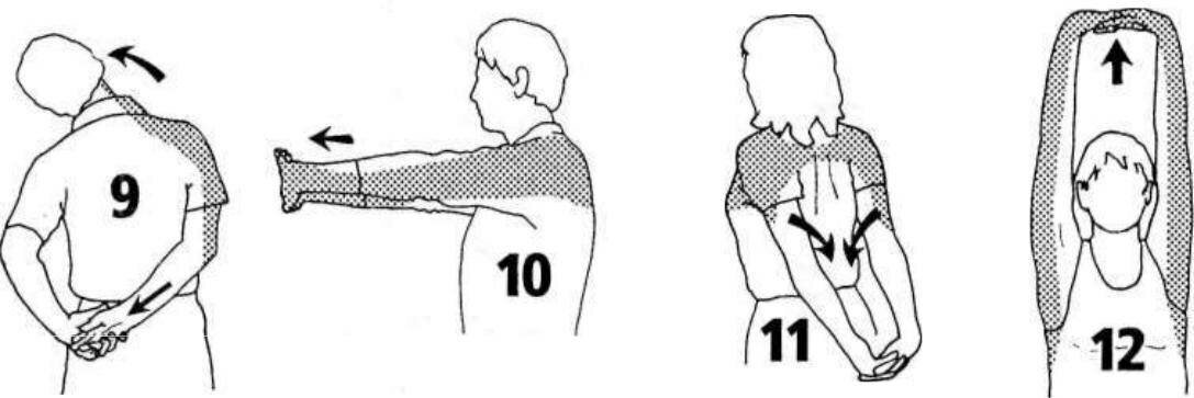 Упражнение для правой руки. Упражнения на растяжку рук и плечевого пояса. Растяжка плеча упражнения. Растяжка плечевого сустава. Растяжка мышц плечевого сустава.