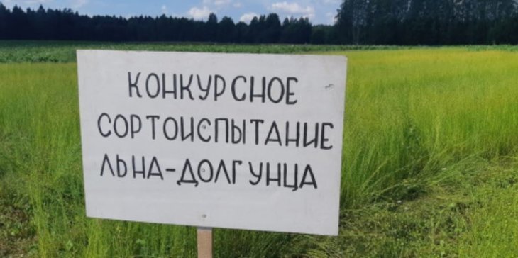    Какие культуры и сорта вызвали наибольший интерес во время приемки сортоопытов в Вологодском округе