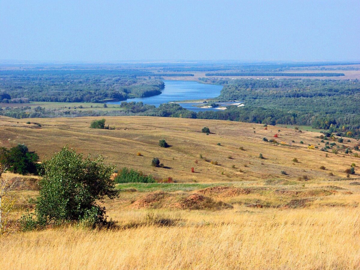 Природа Волгоградской области