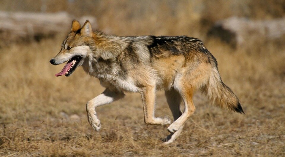   U.S. Department of Agriculture / Flickr / CC BY 2.0