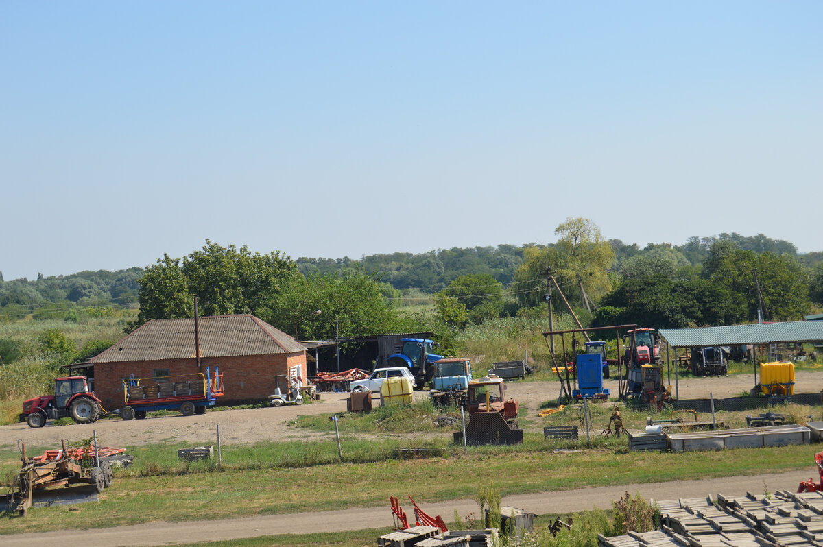 Фото автора. 21.08.2023. Садоводческая бригада на Кубани.