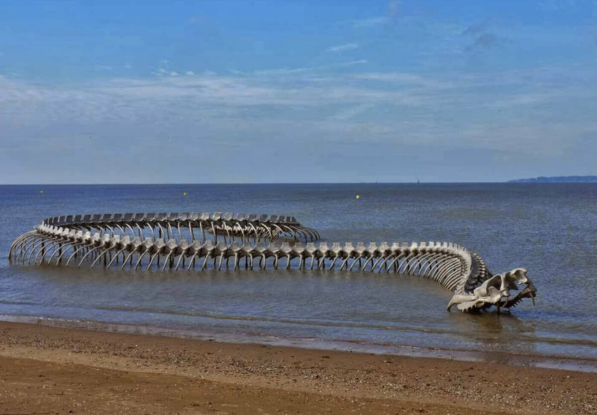 какие змеи водятся в азовском море