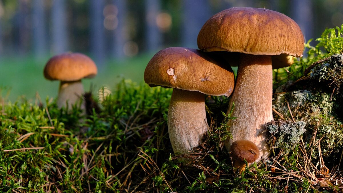 Фото: unsplash.com