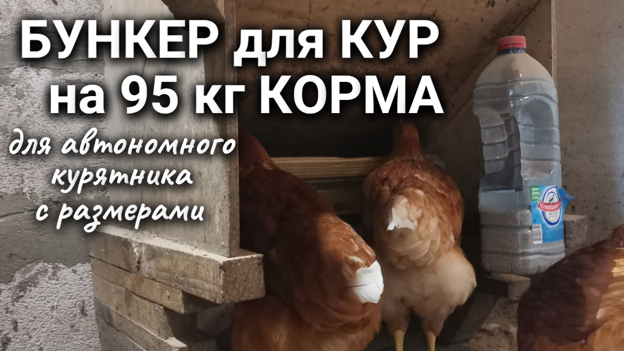 Автономная бункерная кормушка для домашней птицы. Месячная автономность