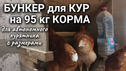 Бункерная кормушка на 6 кг