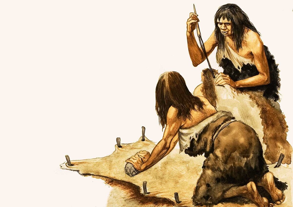 рисунок из открытых источников