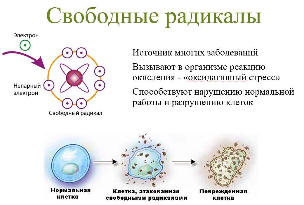 Свободные радикалы. Свободные радикалы возникают при воздействии на клетку:. Образование свободных радикалов в организме. Как образуются свободные радикалы. Свободные радикалы что это такое в организме человека.