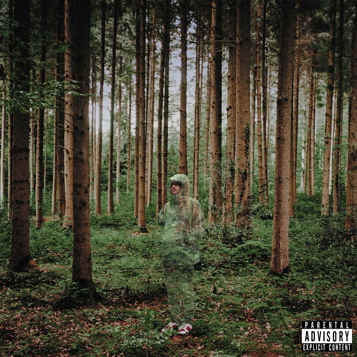 I Love You, I'm Trying.