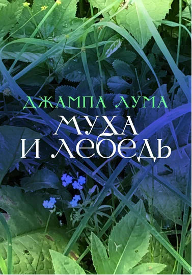 Обложка авторской книги.