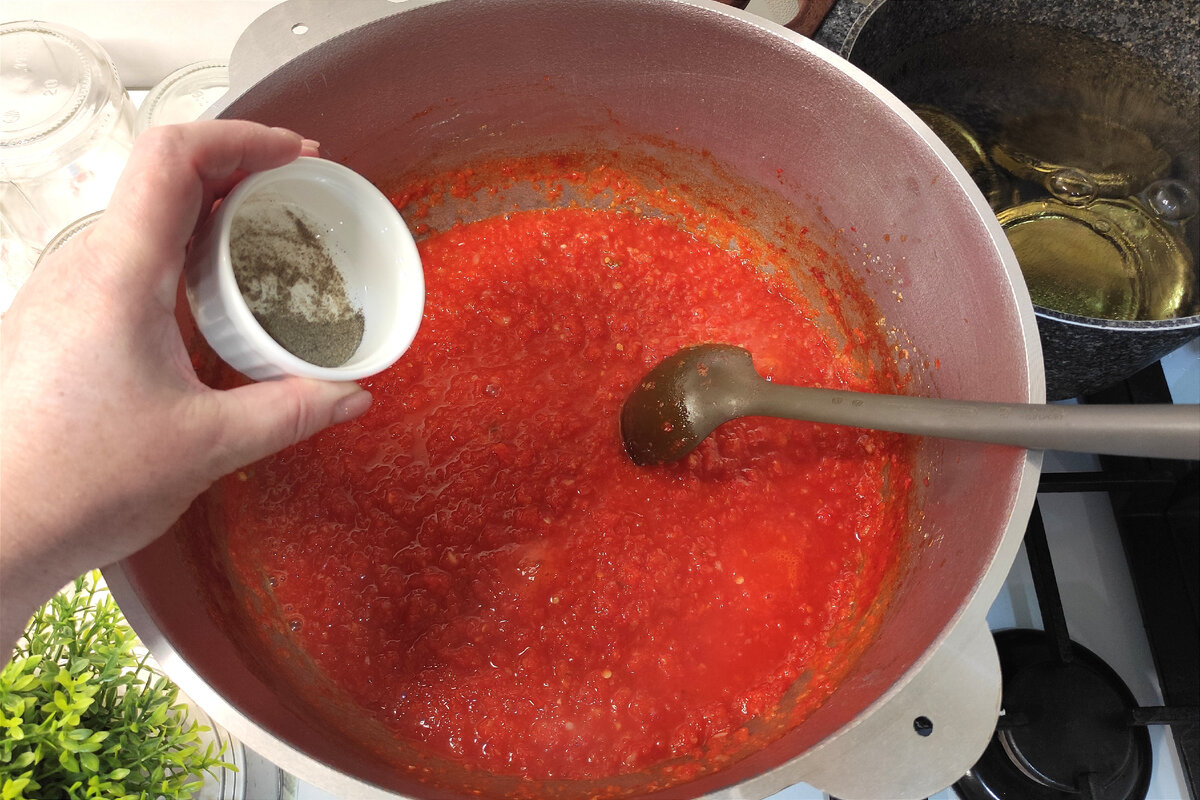 Аджика на зиму из болгарского перца, без помидоров: пошаговый рецепт с фото