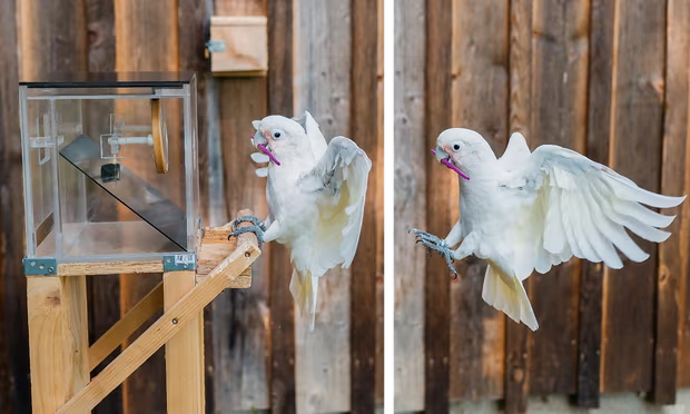 Во время эксперимента