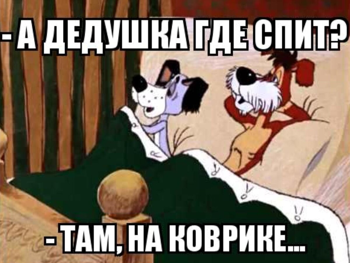 Хозяин спит на коврике