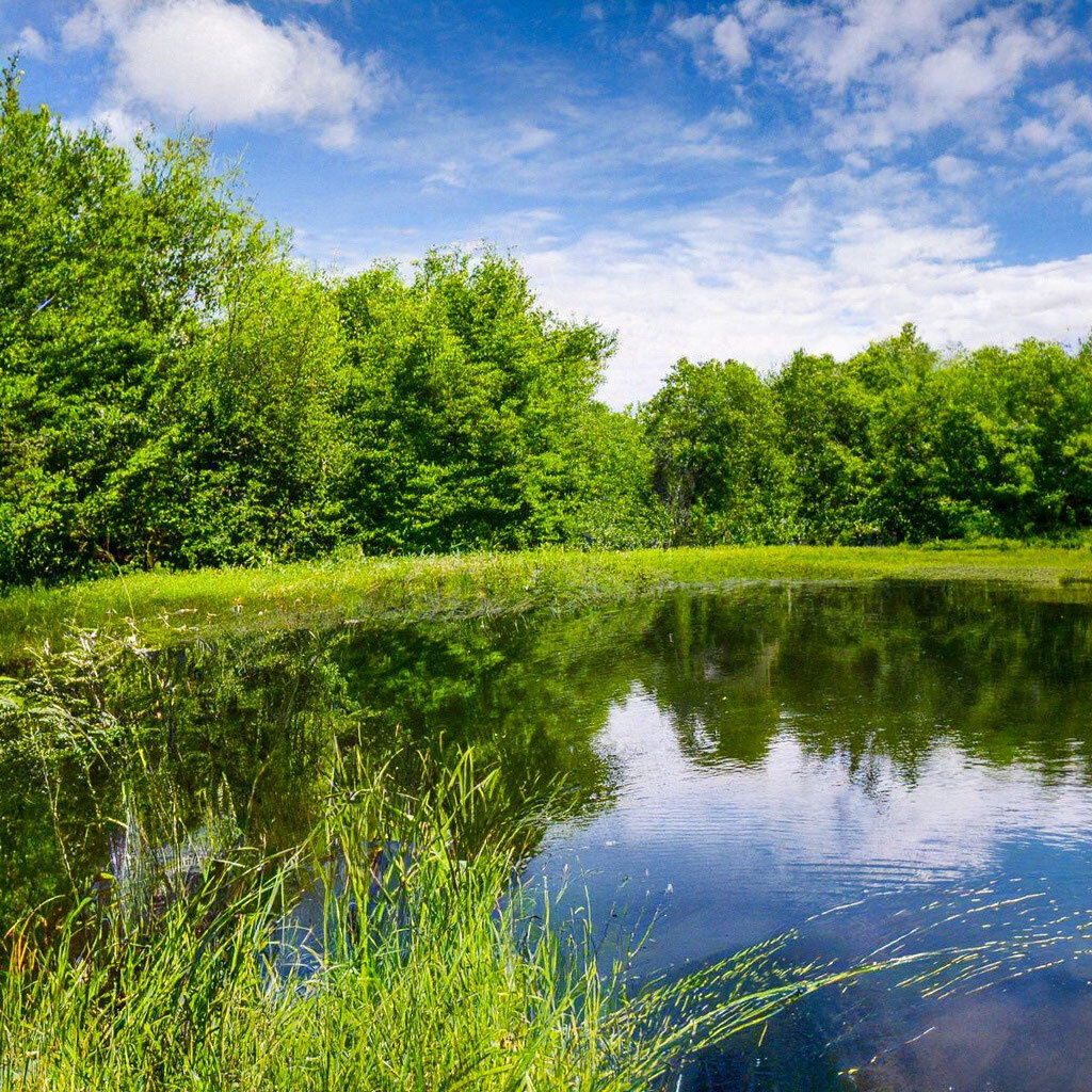 Погода и времена года имеют большое значение для успешной рыбалки. Вот несколько советов, которые помогут вам выбрать оптимальное время для рыбалки:1. Весна - это время, когда вода начинает прогреваться, и рыба начинает выходить из своих укрытий. В это время можно ловить на поплавочную удочку, спиннинг и нахлыст.2. Лето - это самое популярное время для рыбалки. Вода уже достаточно прогрета, и рыба активно кормится. В это время лучше всего ловить на спиннинг, фидер и поплавочную удочку.3. Осень - это время перед зимней спячкой для рыбы. В это время она становится более активной и можно ловить на различные виды снастей.4. Зима - это время для зимней рыбалки. В это время года можно ловить рыбу на льду или на мормышку.Важно помнить, что погода может сильно влиять на клев рыбы. Например, если идет дождь или сильный ветер, то рыба может не выходить на кормежку. Поэтому перед тем, как отправиться на рыбалку, необходимо проверить прогноз погоды и выбрать оптимальное время.