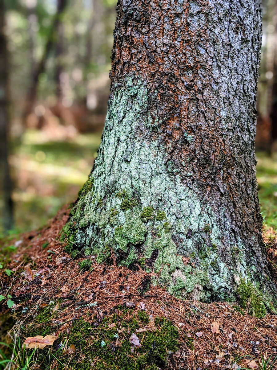фото из личного архива