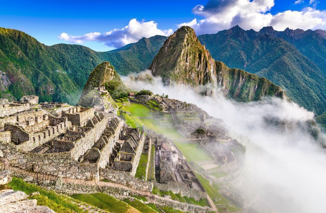 Источник изображения wikimedia.commons