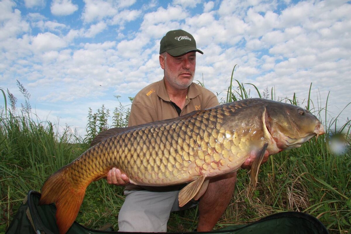 Карп тайм. Карпфишинг. Fox карпфишинг. Ловля карпа. Карпфишинг.