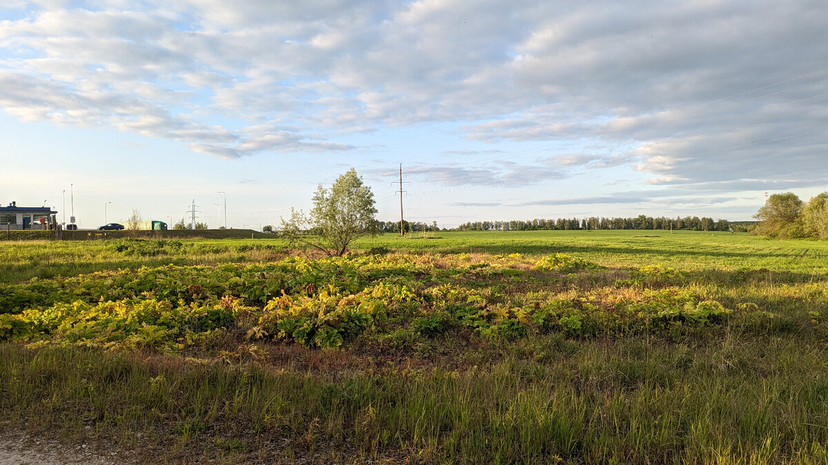 04,06,2023 Химия действует