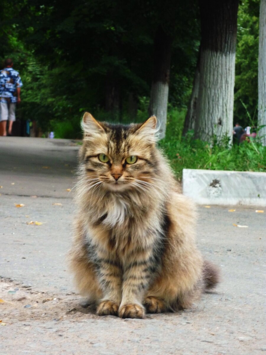 Фото автора