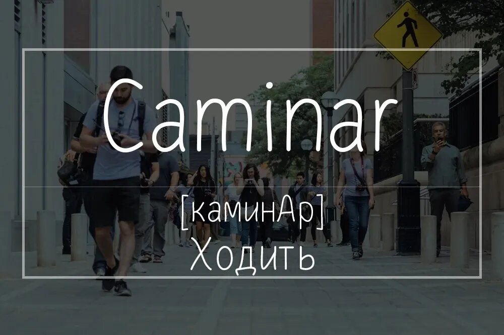 Карточка автора